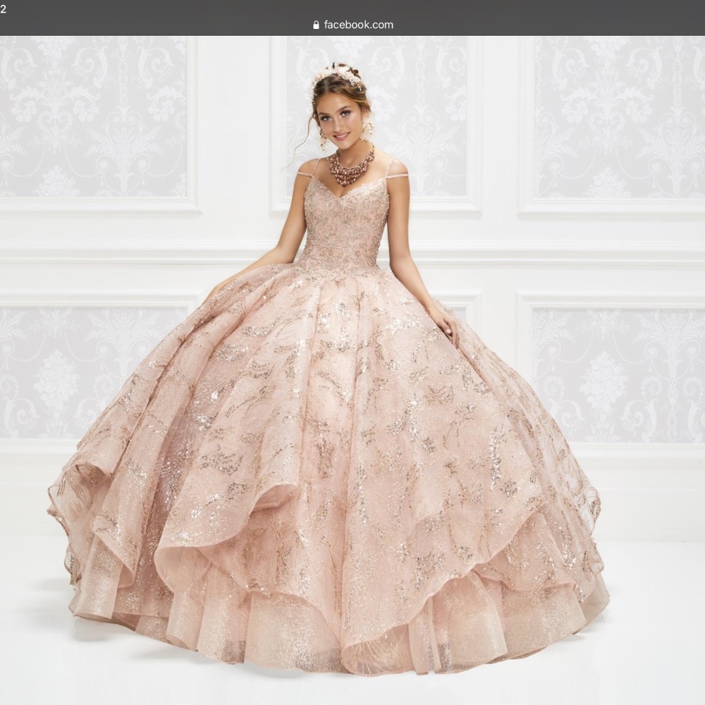 Ariana Vara Sweet 15 & 16  Quinceanera Dress Gown